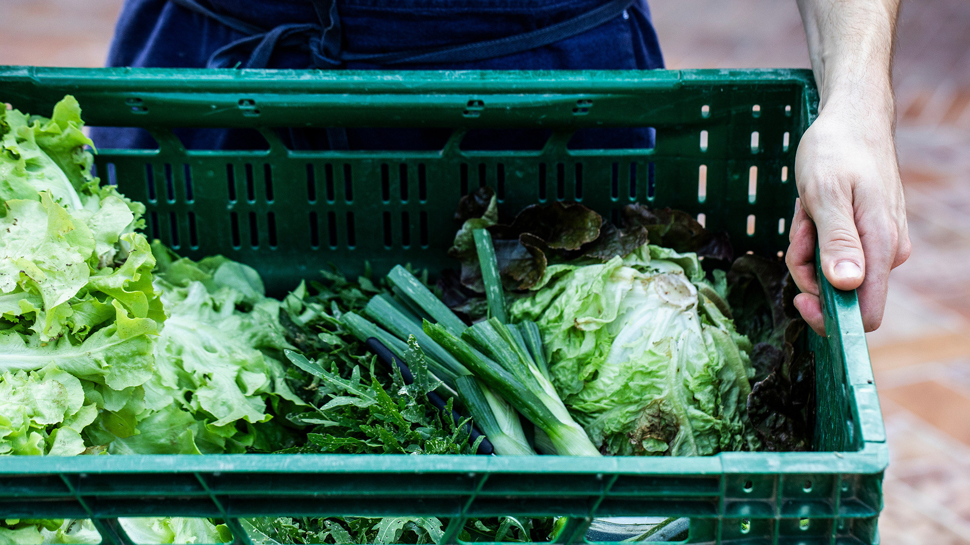 vivi l'esperienza gallery-5