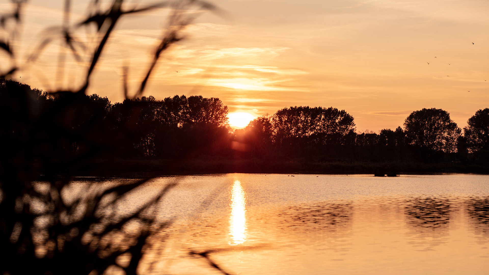 vivi l'esperienza gallery-3