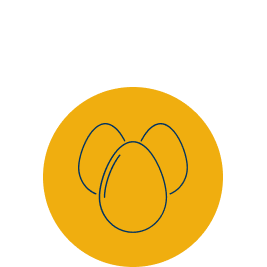 BolloneScelte 03 267x267