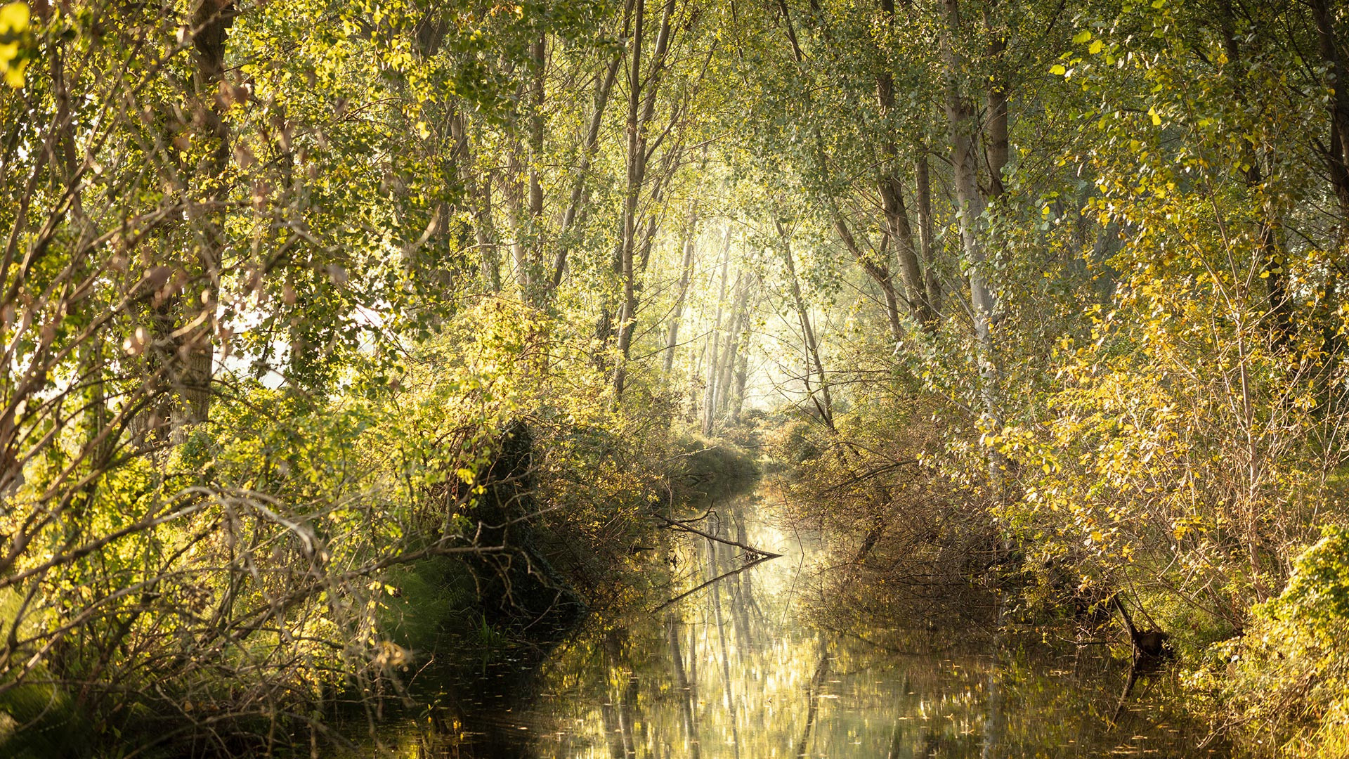 vivi l'esperienza gallery-2