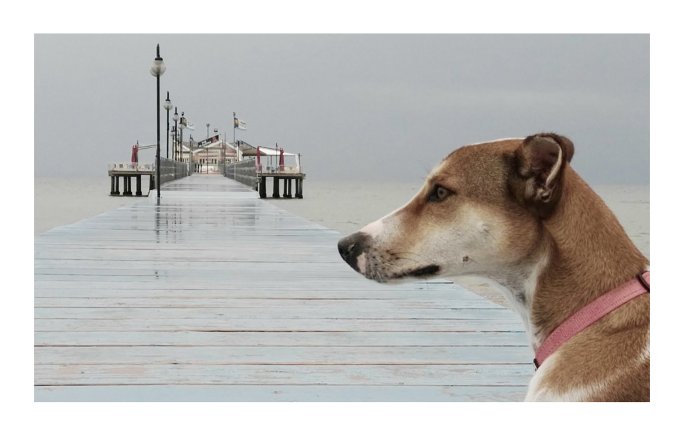 vivi l'esperienza gallery-2