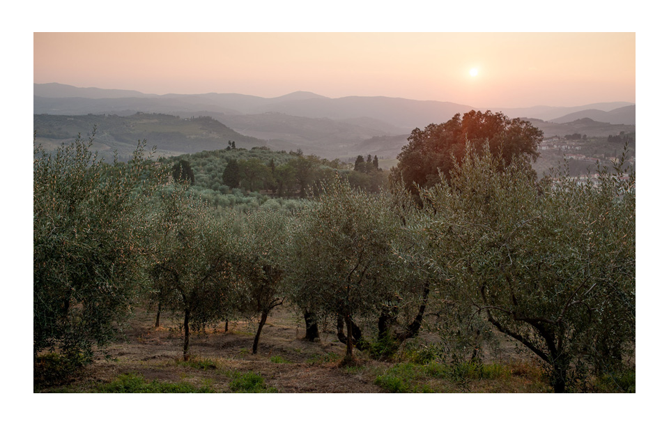 vivi l'esperienza gallery-19