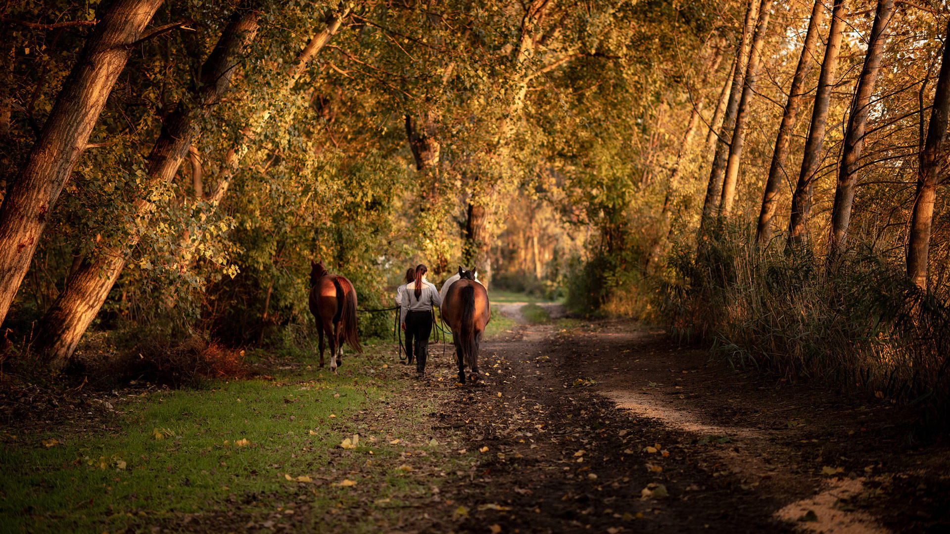 vivi l'esperienza gallery-5