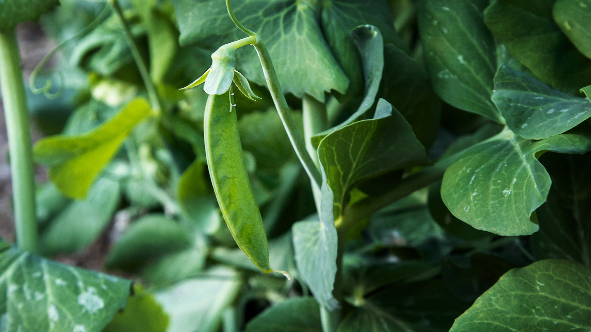 vivi l'esperienza gallery-9