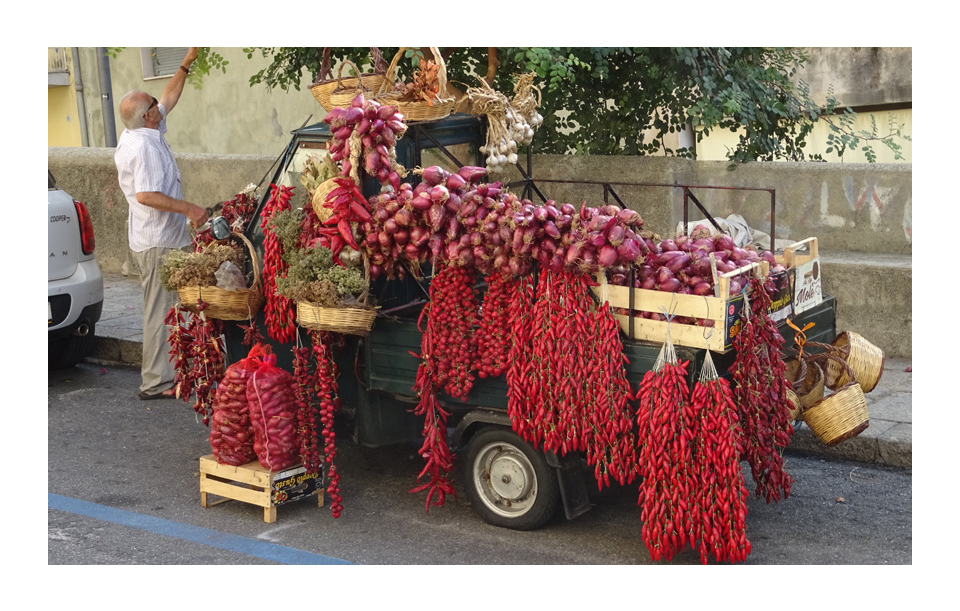 vivi l'esperienza gallery-5