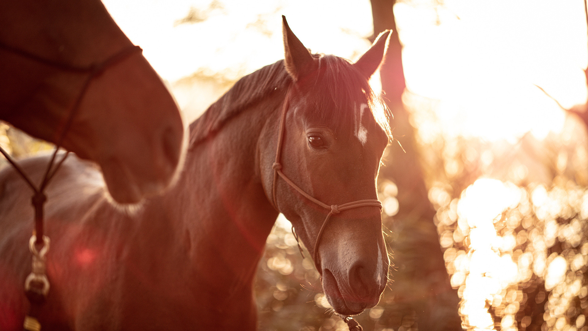 vivi l'esperienza gallery-6