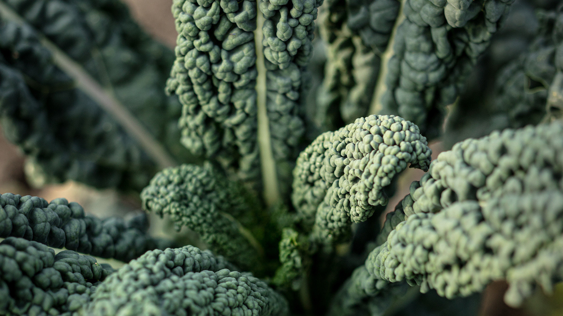 vivi l'esperienza gallery-4