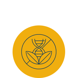 BolloneDiciamoNO 05 267x267