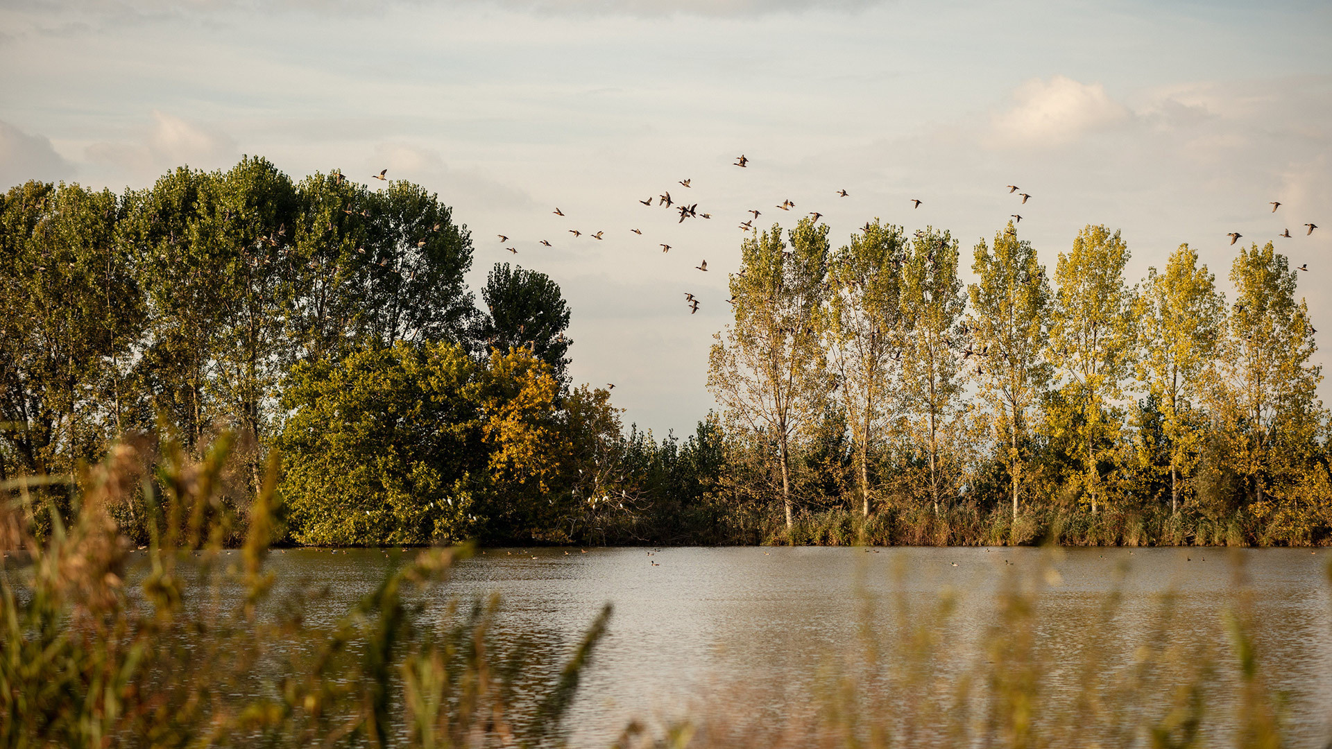 vivi l'esperienza gallery-9