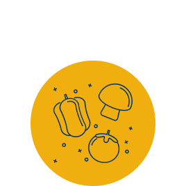 BolloneScelte 05 267x267