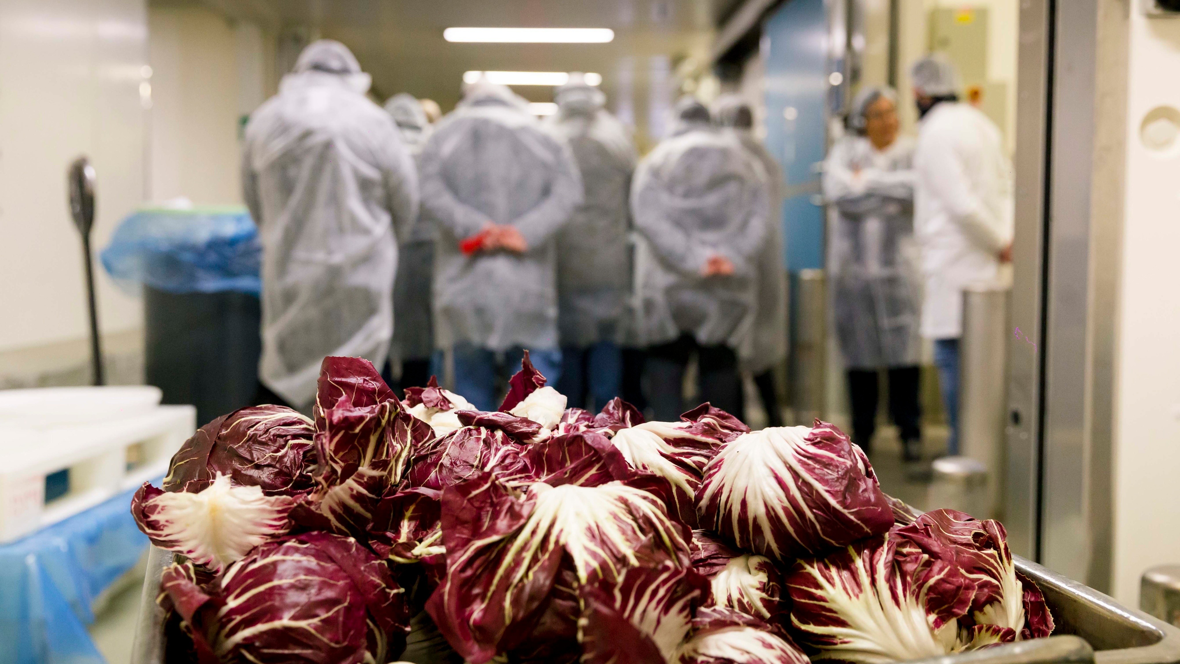 vivi l'esperienza gallery-16