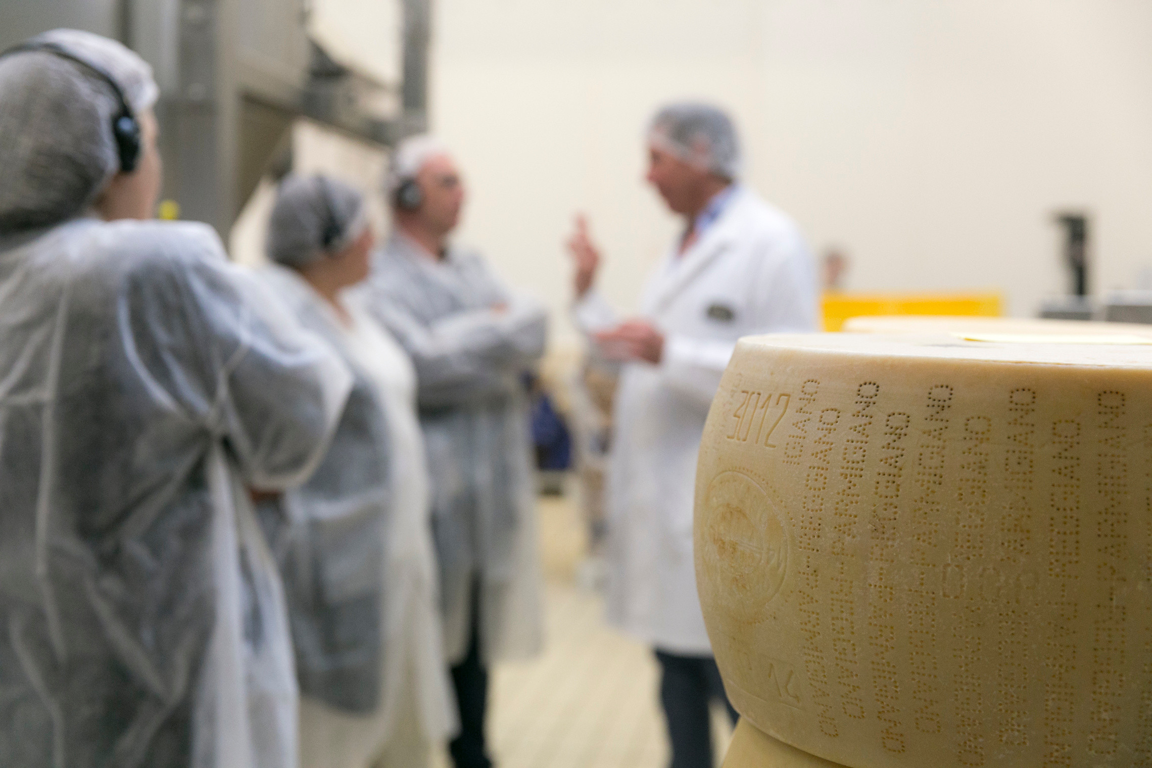 vivi l'esperienza gallery-19