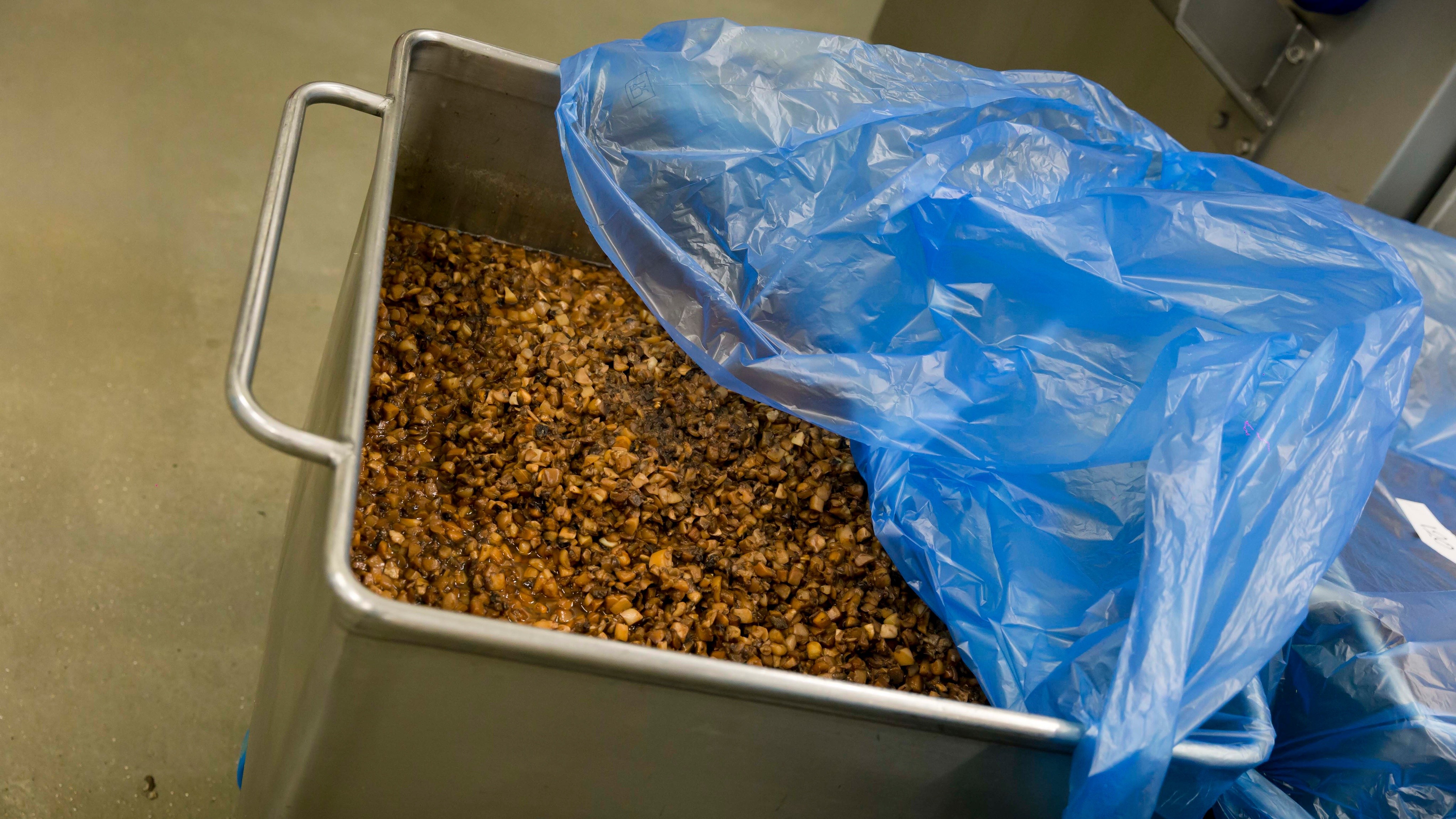 vivi l'esperienza gallery-12