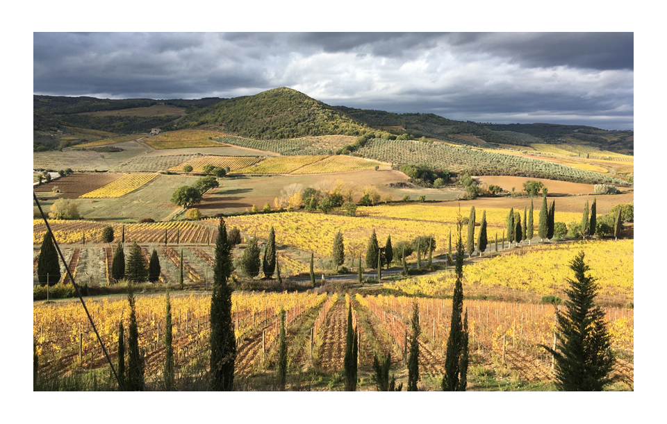 vivi l'esperienza gallery-11