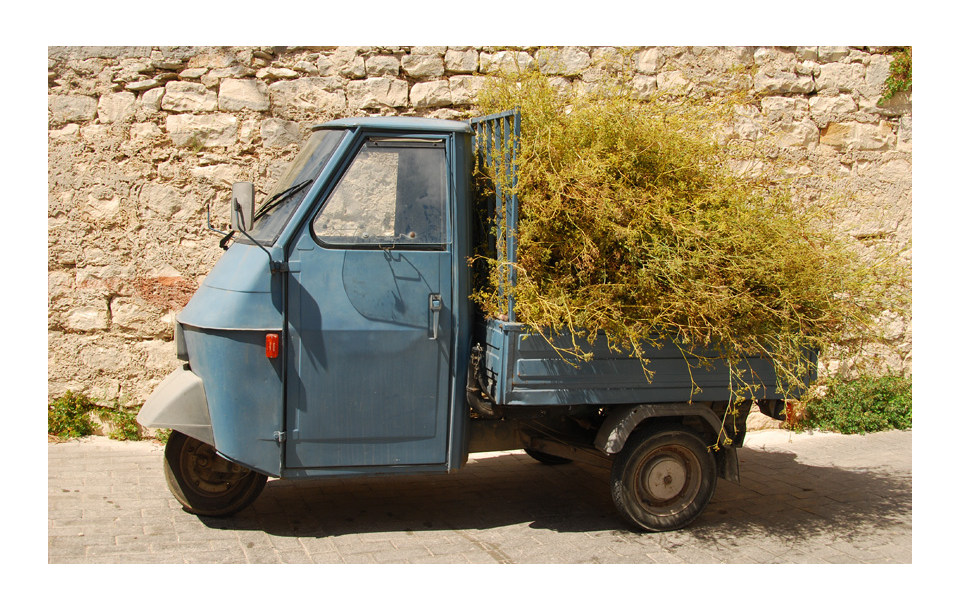 vivi l'esperienza gallery-16