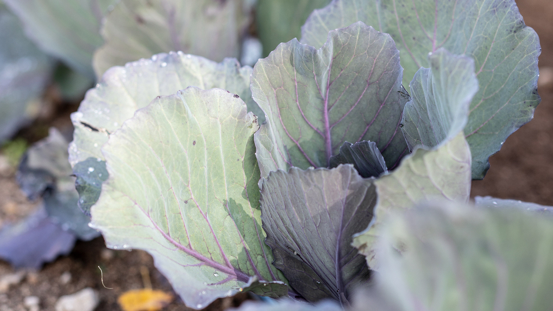 vivi l'esperienza gallery-6