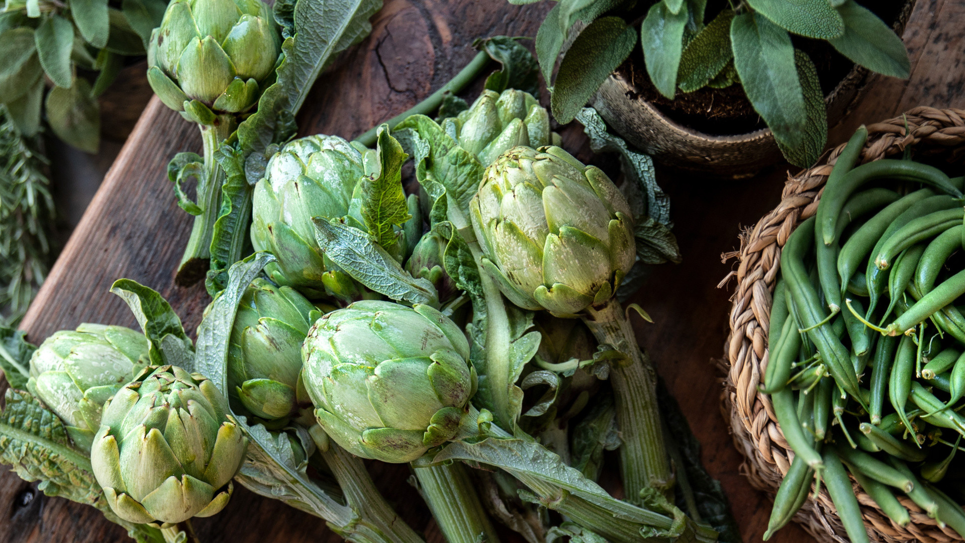 vivi l'esperienza gallery-12