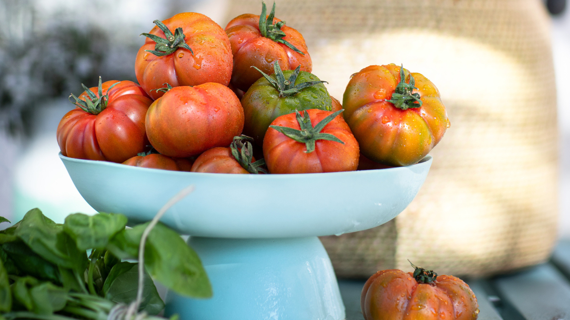 vivi l'esperienza gallery-10