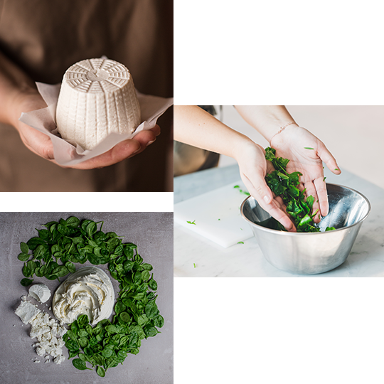 vivi l'esperienza gallery-4