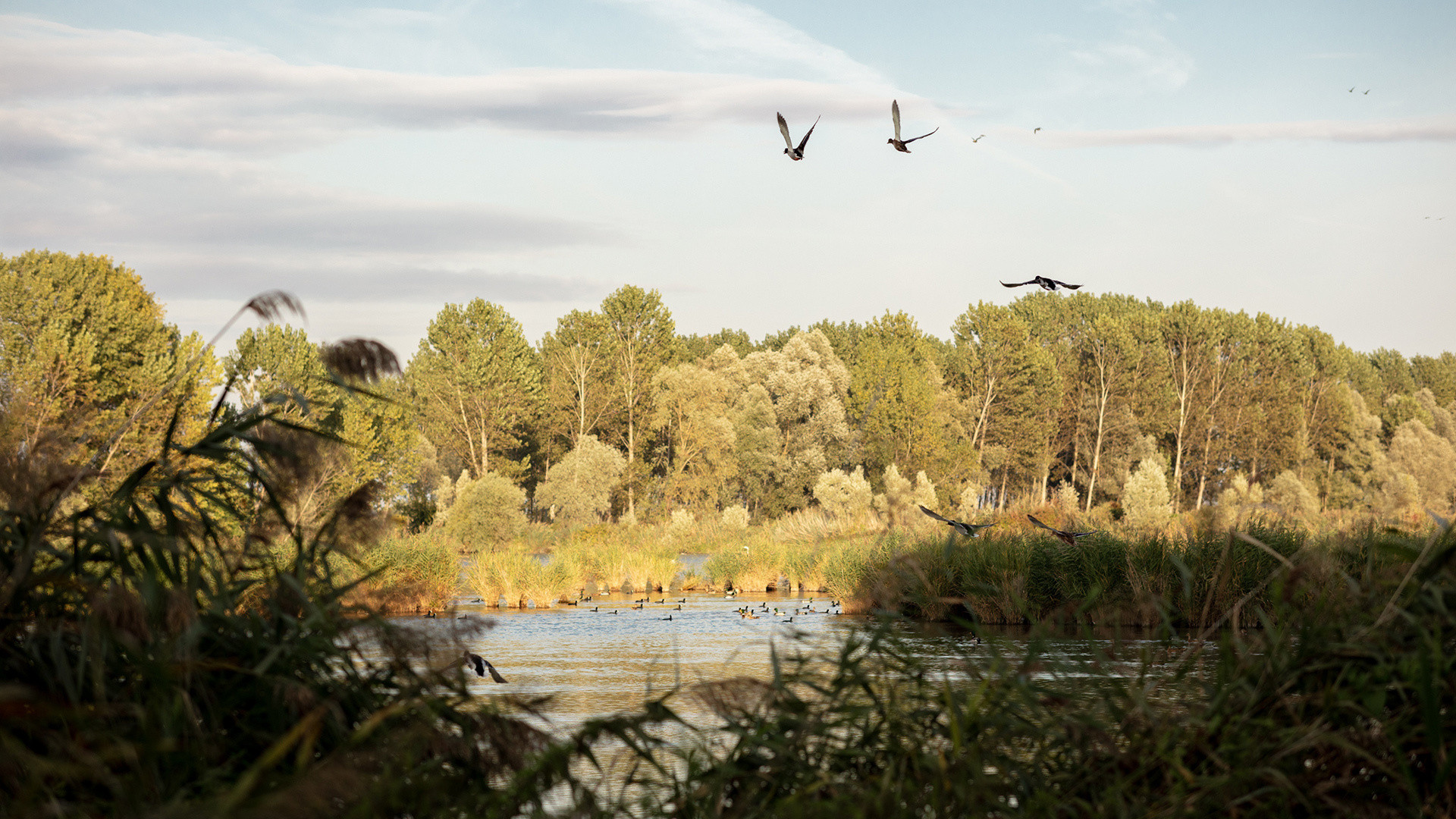 vivi l'esperienza gallery-8