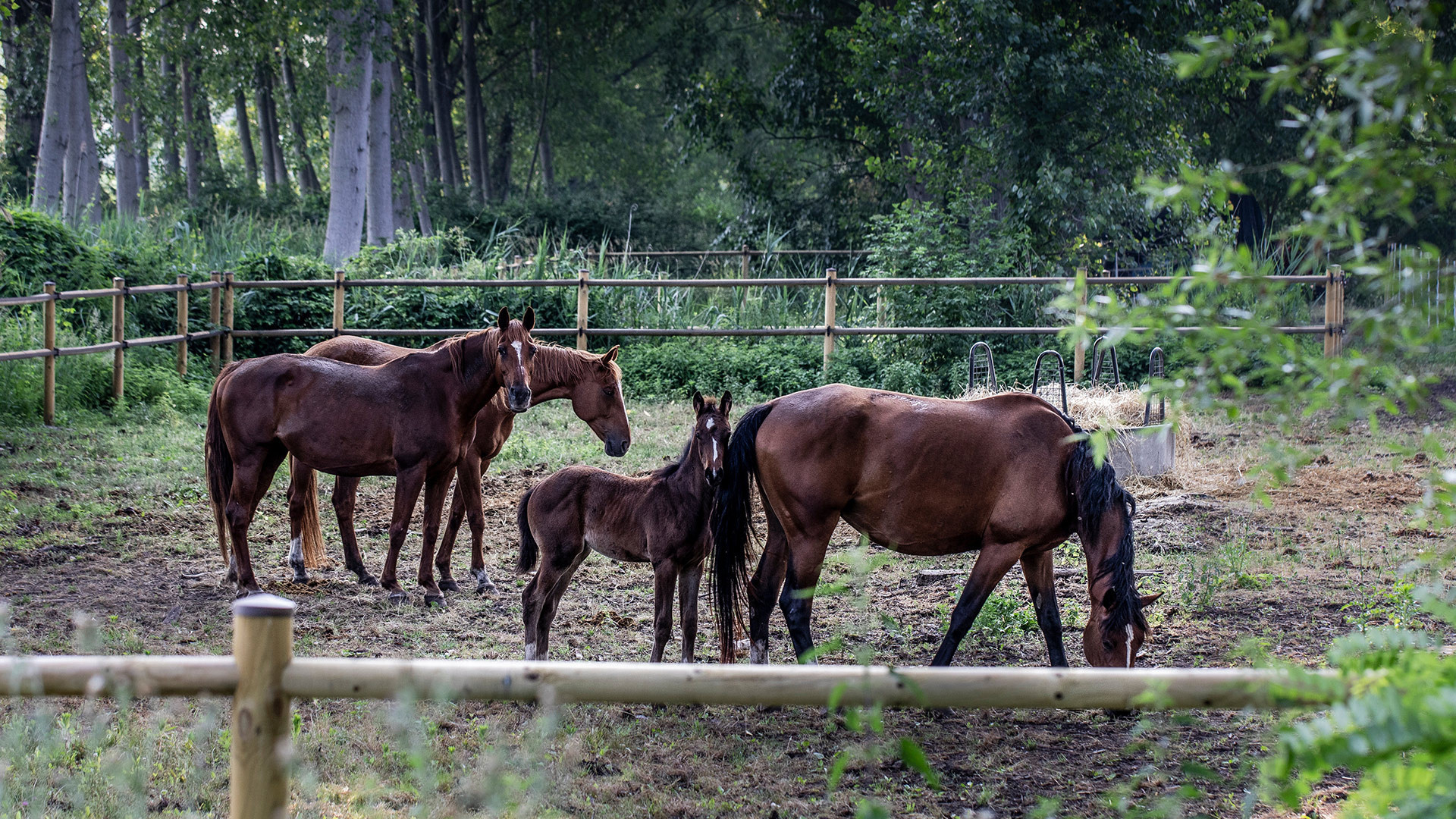 vivi l'esperienza gallery-4