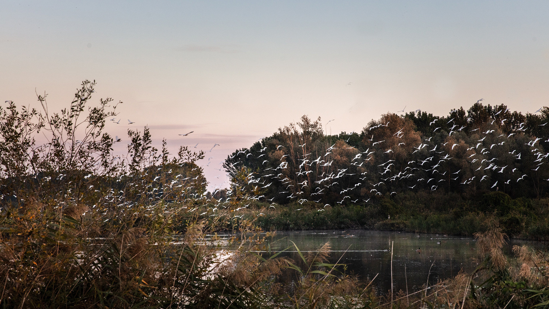 vivi l'esperienza gallery-1