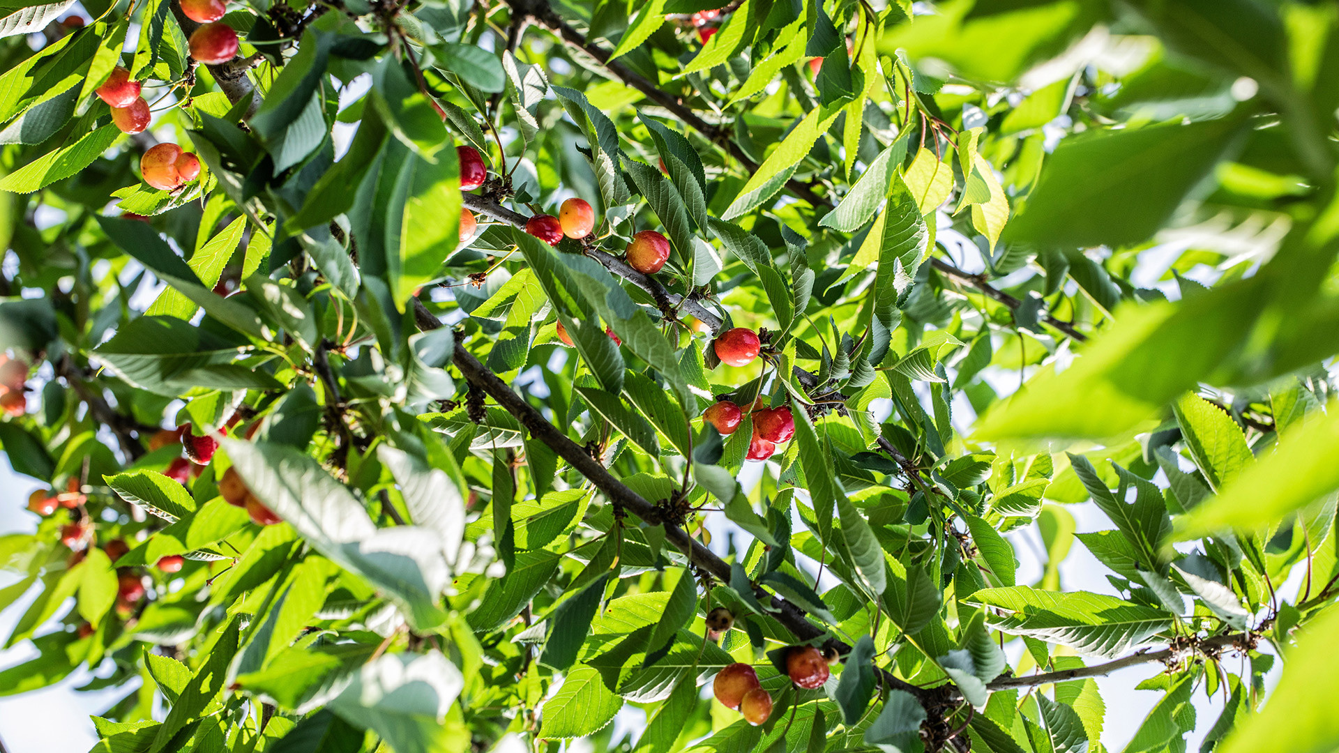 vivi l'esperienza gallery-8