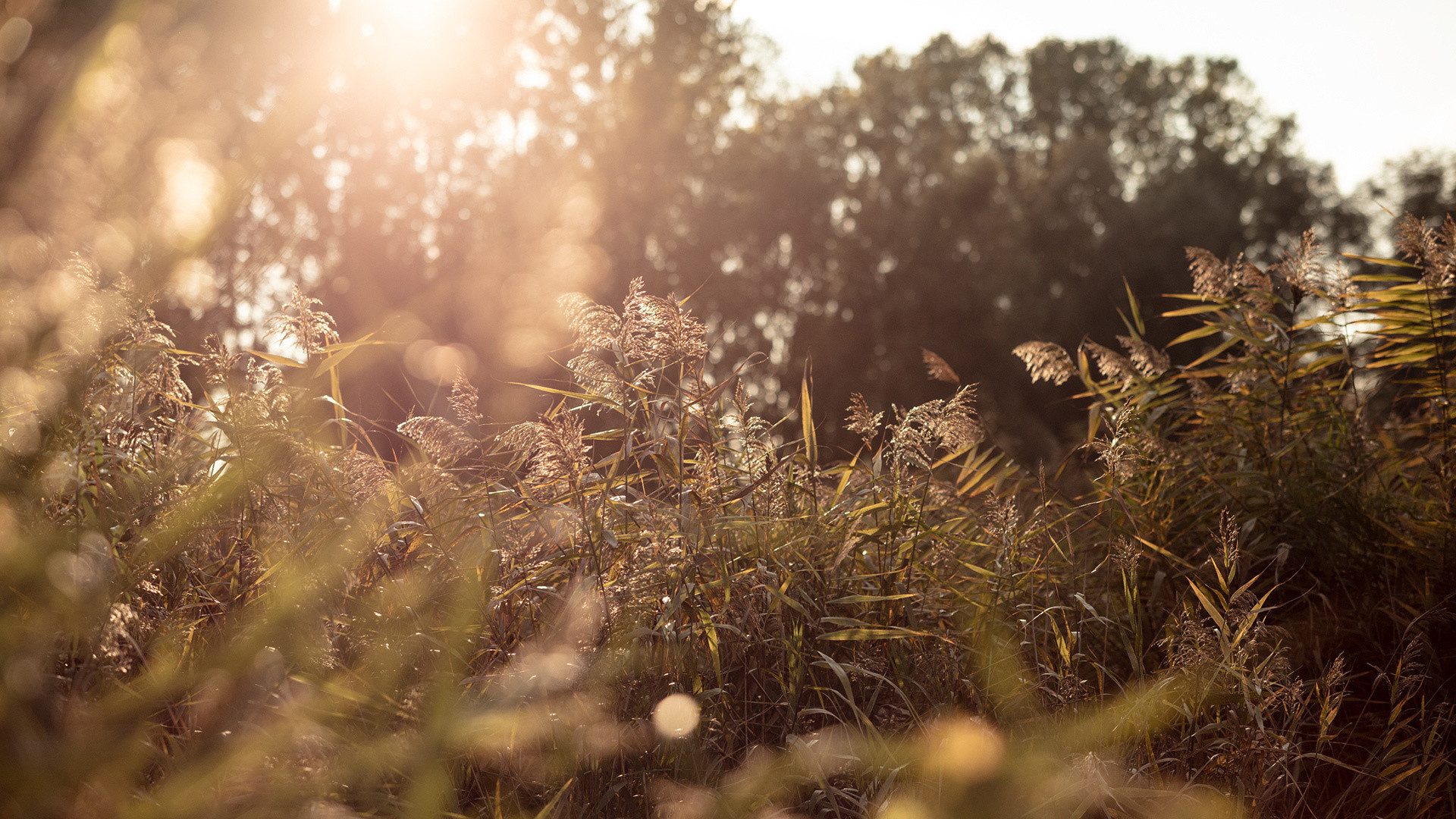 vivi l'esperienza gallery-7