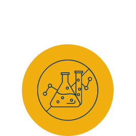 Bollone Infografica 03